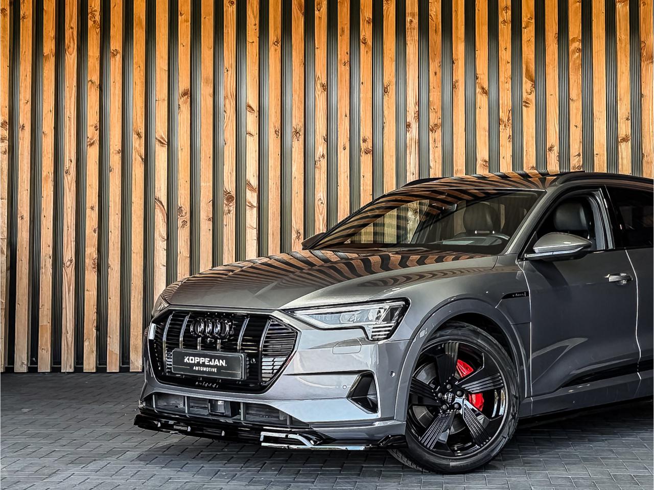 Audi e-tron 55 Quattro Advanced Pro Line Plus 95 kWh | Audi occasion